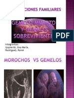 Constelaciones Familiares Gemelos PDF