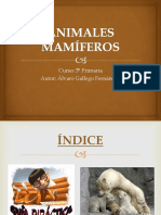 Animales Mamíferos