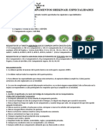 Campamentos Especialidades Shekinah-1