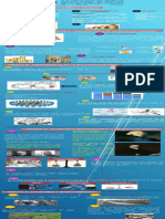 Infografia Economia