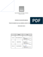 Informe Fiscalizacion