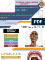 Patologias Cabeza y Cuello