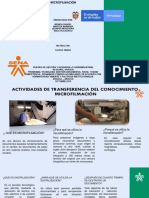 Evidencias de Transferencia PDF