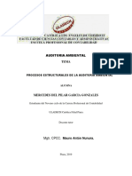 Actividad #07 Procesos Estructurales de La Auditoria Ambiental