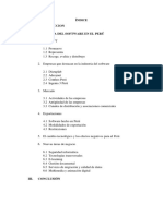 Industria Del Software en El Perú