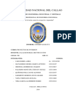 Informe Cuy (40%)