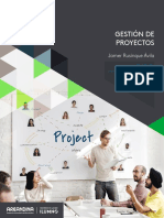 Gestion de Proyectos