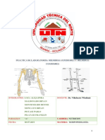 Practica de Laboratorio Morfo