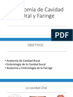 Anatomía de Cavidad Oral y Faringe May