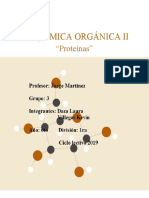 PROTEÍNAS