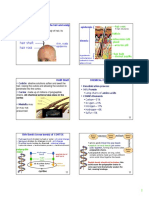 Hair Shaft Hair Root: Properties of The Hair and Scalp