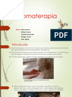 Aromaterapia Trabalho Fisiologia 1