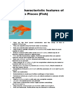 General Characteristic Features of Superclass Pisces