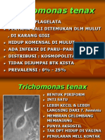 Trichomonas Tenax 6