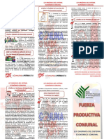 Triptico de Economia Comunal Inia