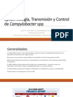 Epidemiólogia de Campylobacter SPP