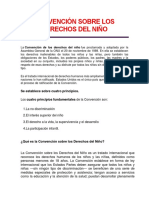 Resumen Convencion Derechos Niño 2