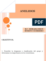 ANELIDOS