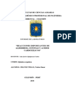 8 Informe de Quimica Organica