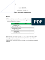 Cuestionario Practico No 1 - Geologia