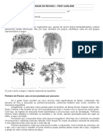 Revisão Botanica 1 Ano 4 Bim