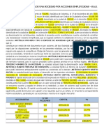 Modelo Constitucion Sas