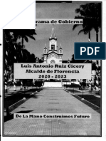 Plan de Gobierno Luis Antonio Ruiz Ciceri