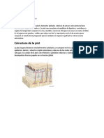 La Piel PDF