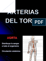 Arterias Del Torax