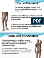 Anatomia 2