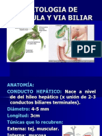 11 Patología de Vesícula y Vía Biliar