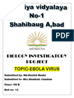 Ebola Virus 2