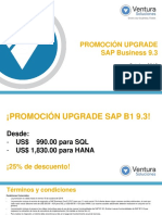 Upgrade SAP Business One