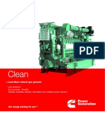 Lean Burn Product Brochure