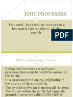 ENDOGENOUS Process