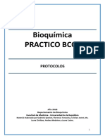 Practico Bioquímica bcc5 - 2018 PDF