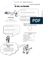 FICHA 1 Mi Vida y Sus Maravillas