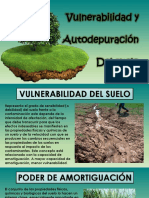 Vulnerabilidad y Autodepuración Del Suelo