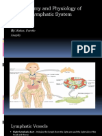 Lymphatic System (Anaphy)