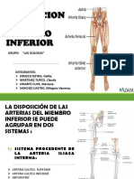 Vascularizacion Del Miembro Inferior