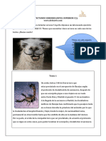 Gramatica Detectando Errores Nivel Superior C2 PDF