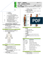 Anatomy 1.01 Anatomy of Motion
