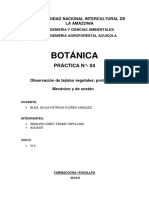 Informe N°4