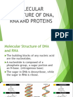 Study Dna Dna