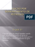 Poluição Por Derramamento de Petróleo Slide