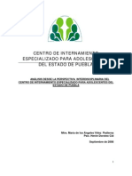 08 Analisis Desde La Perspectiva Interdisciplinaria Del CIEPA