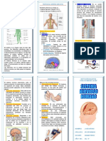 El Sistema Nervioso Triptico
