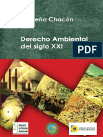 Derecho Ambietnal Del Siglo XXI. Derecho Ambiental PDF