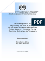 Perfil Diagnóstico en Seguridad y Salud en El Trabajo de Los Países de La Subregión Andina Bolivia, Ecuador, Colombia, Perú y República Bolivariana de Venezuela