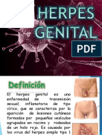 Herpes Genital